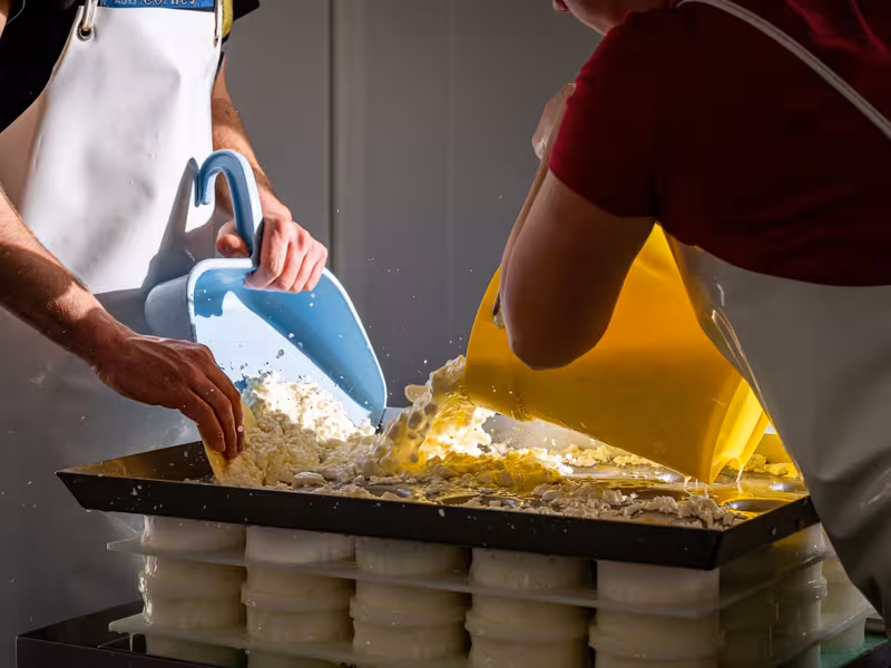 Fabrication de fromage à la ferme de La Mondière
