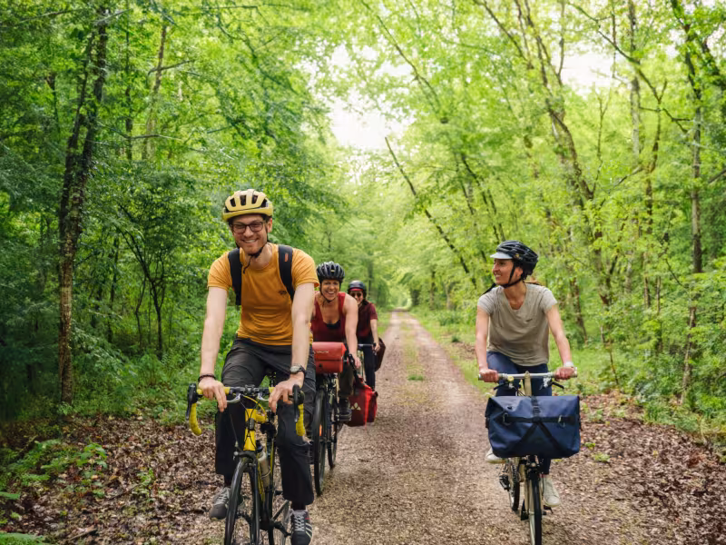Exploration de la forêt de Fontainebleau