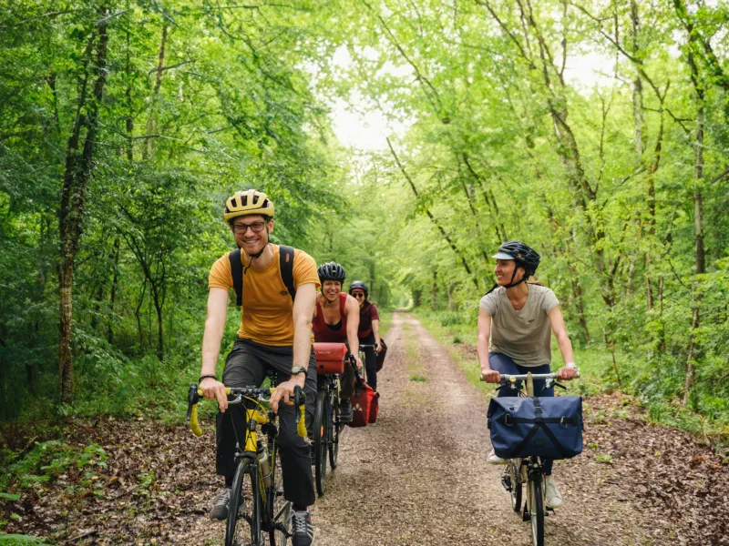 Exploration de la forêt de Fontainebleau