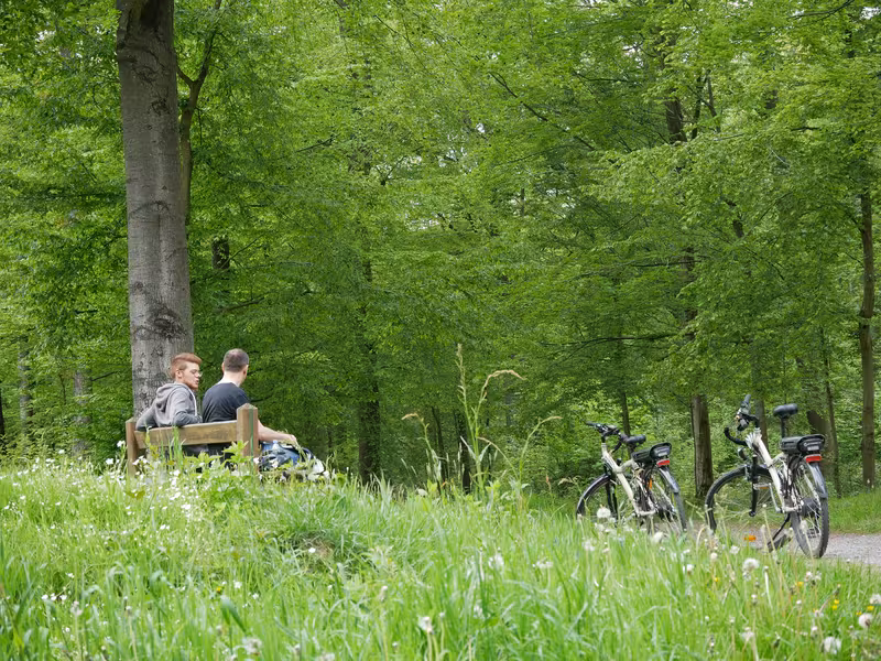 À vélo en forêt de Fourmies