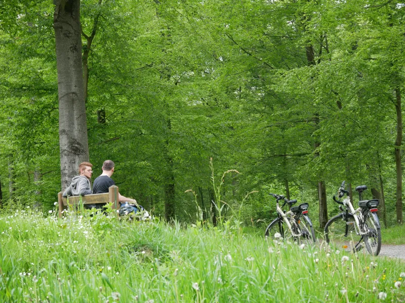 À vélo en forêt de Fourmies