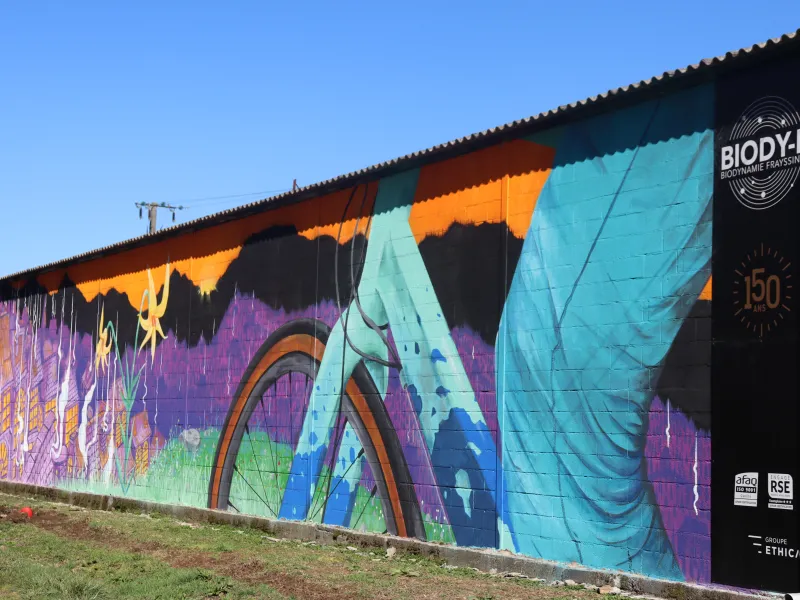 Fresque FOA à St-Amans Soult