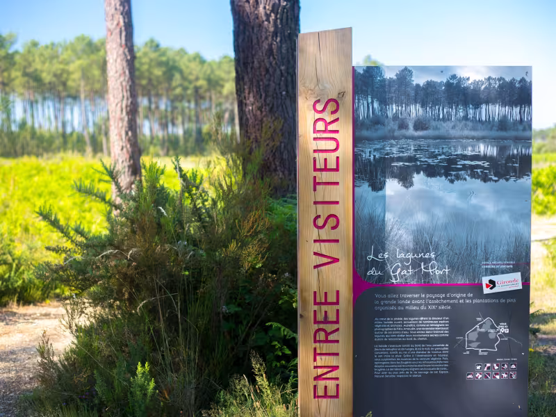Lagunes près d'Hostens