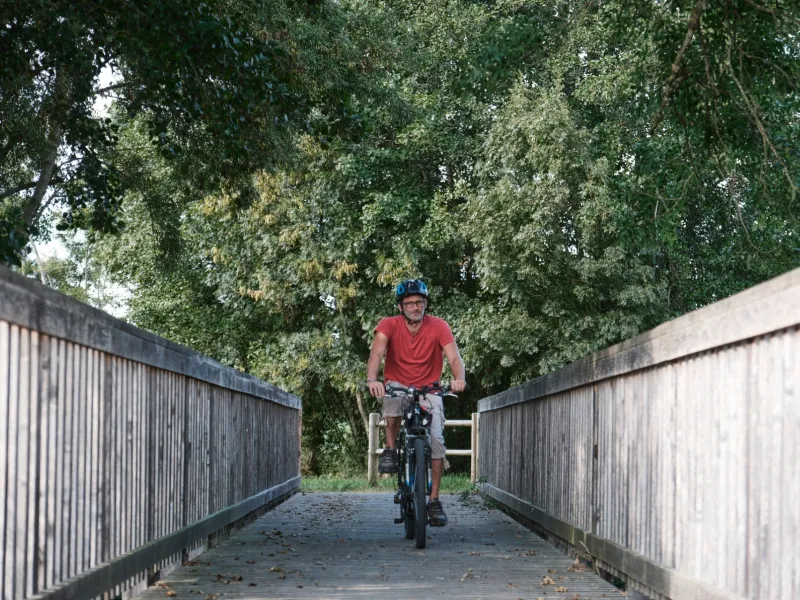 Passerelle sur le Don