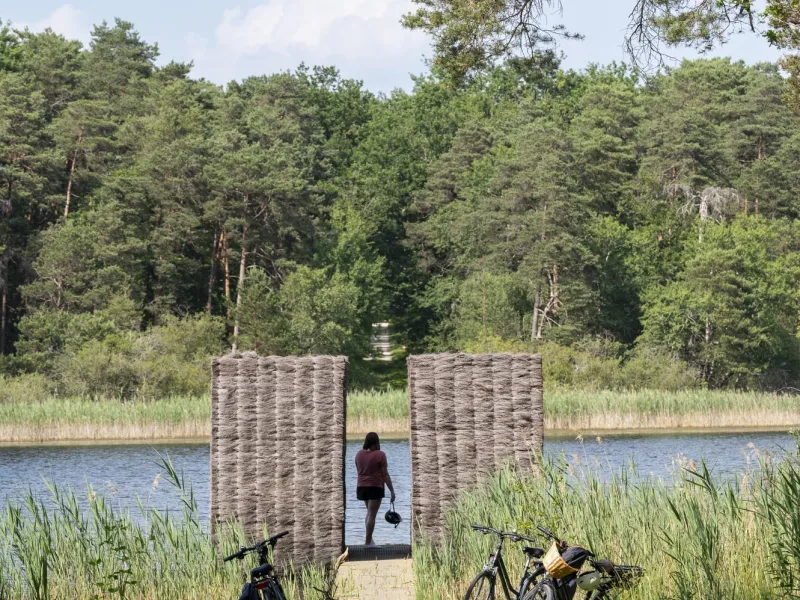 Balade en Sologne à vélo