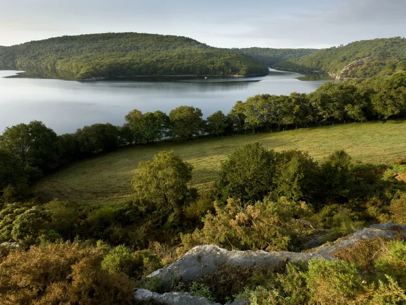 Lac de Guerlédan