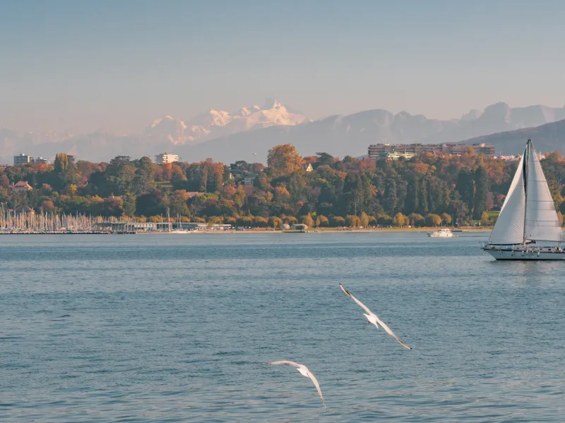 Le lac Léman et les Alpes au fond