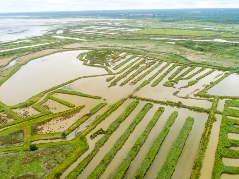 Le Teich vue du ciel