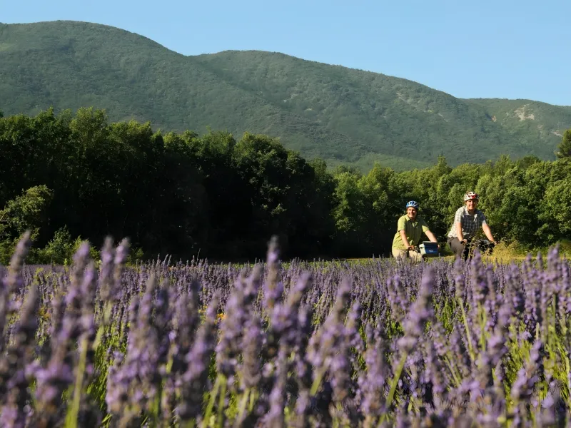 Le Luberon à vélo