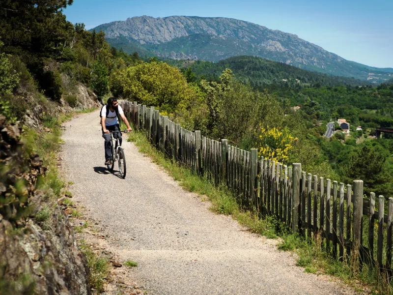 Aux abords du Caroux sur la PassaPaïs