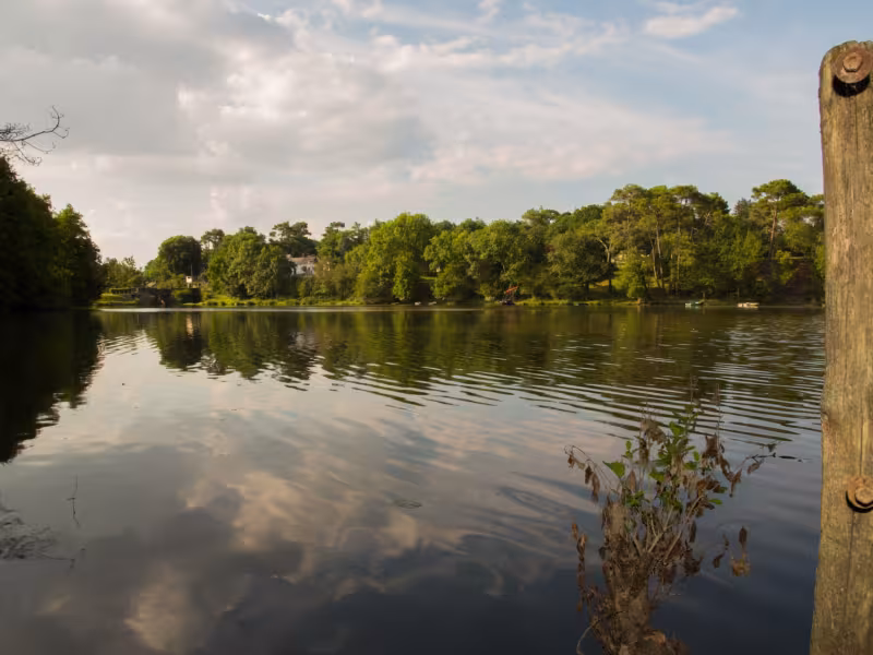 Etang de la forge neuve
