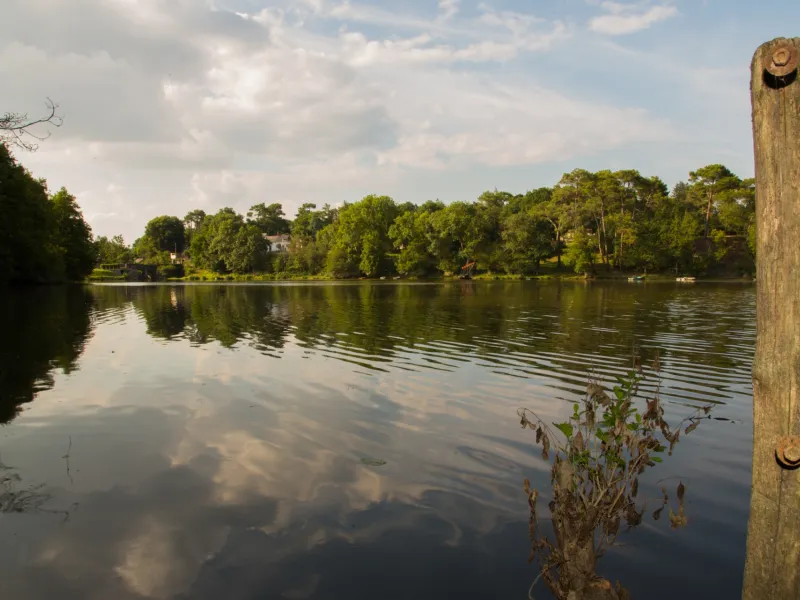 Etang de la forge neuve