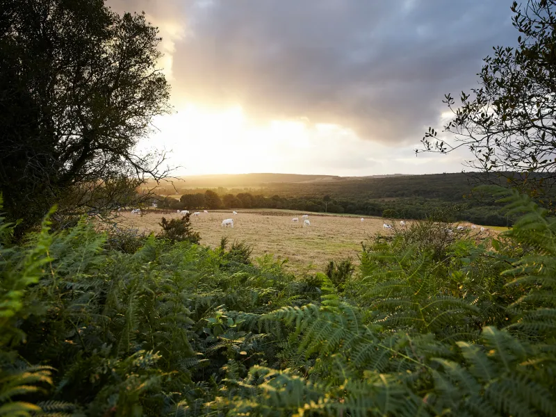 Les montagnes noires de Gourin