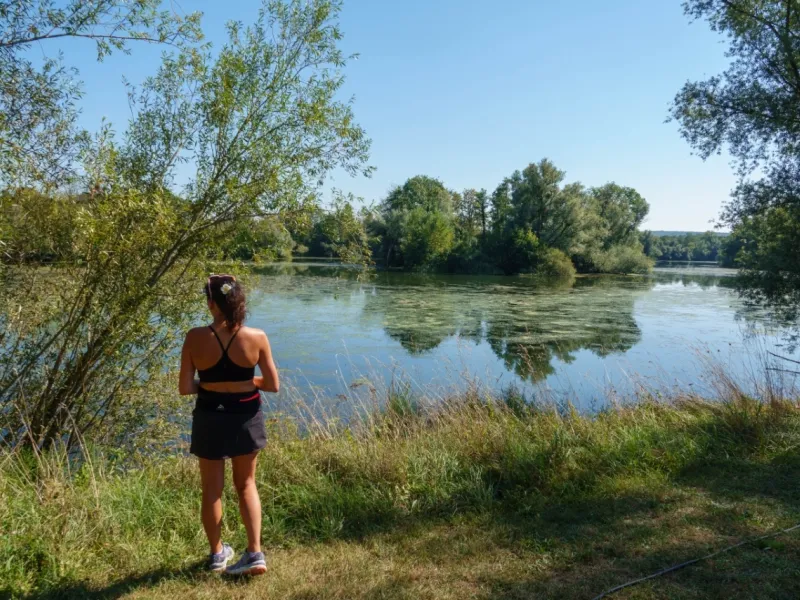 La rivière Ognon