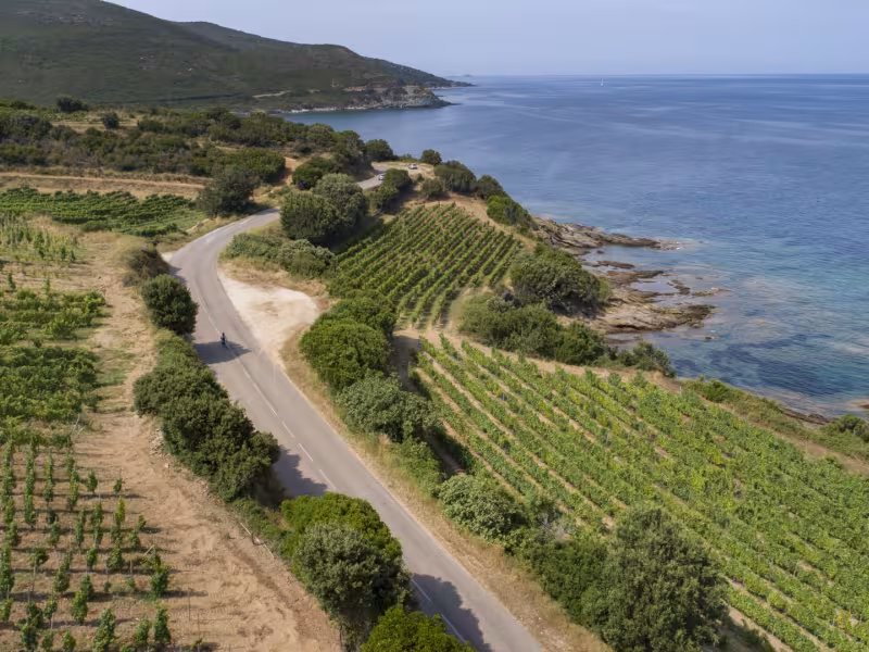 Vignobles du Patrimonio