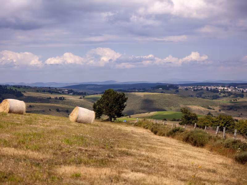 La Margeride vers Arzenc-de-Ranson