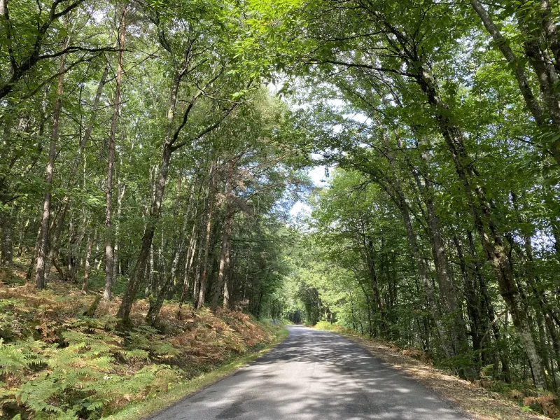 Petites routes sur l aboucle Richard Cœur de Lion