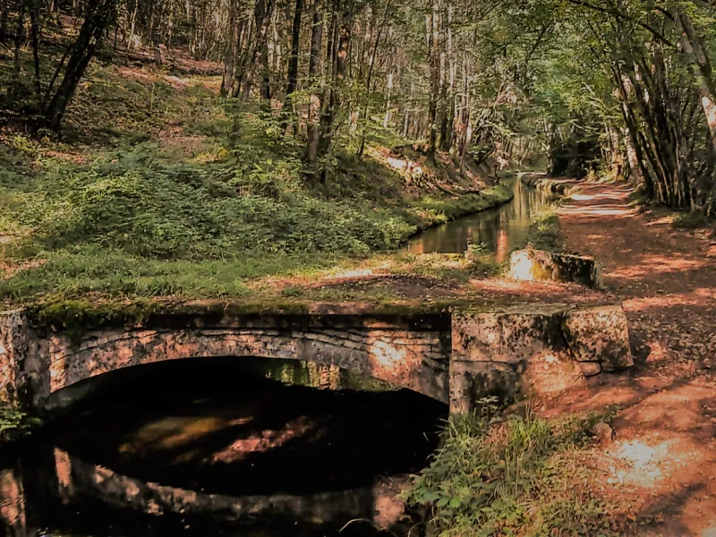 Pont dans un bois sur la rigole d'Yonne