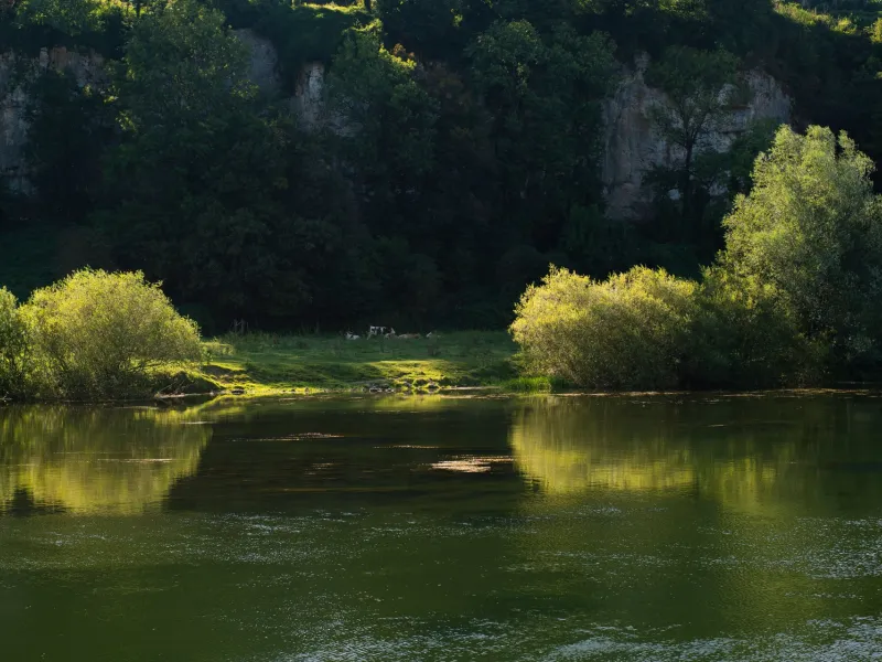 Le Doubs, rivière