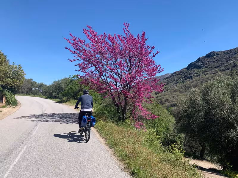 Route en balcon de Balagne