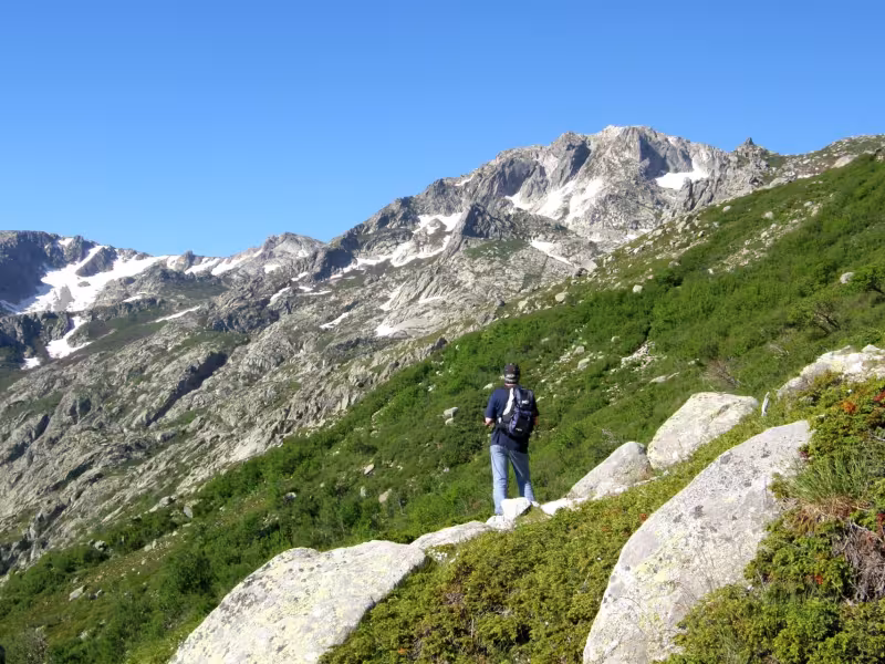 Sentier dans le Monte Renoso