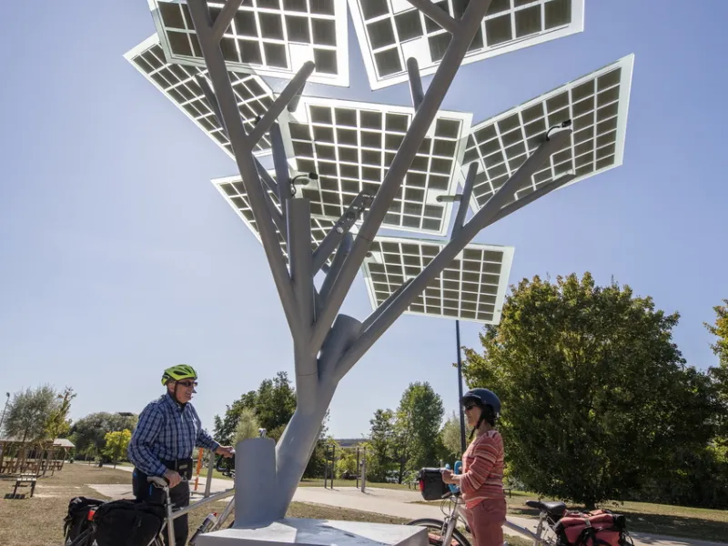 E Tree à Vernon