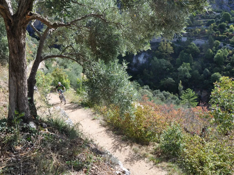 Sur la GT TransVerdon VTT