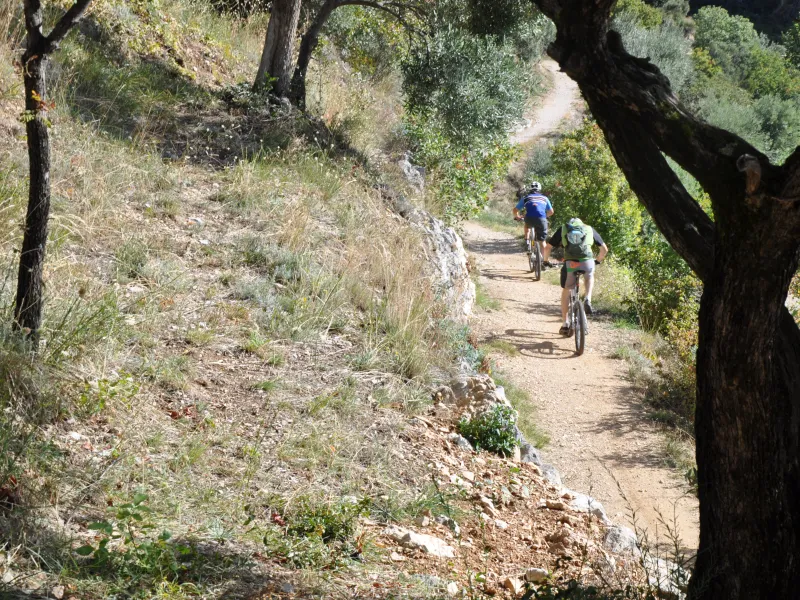 Sentier sur la GT TransVerdon VTT
