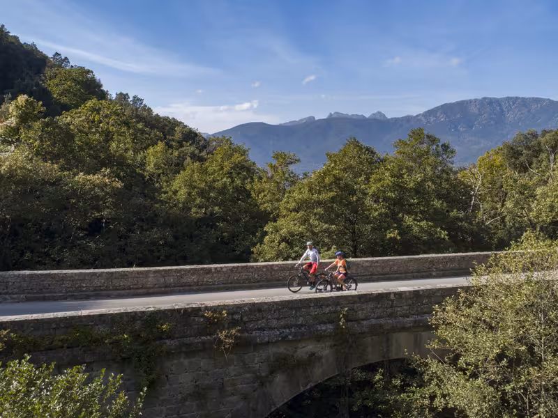 Pont dans l'ascension du col de la Vaccia