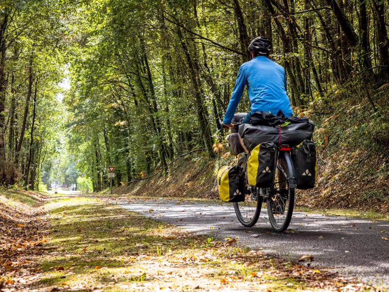 Véloroute ombragée