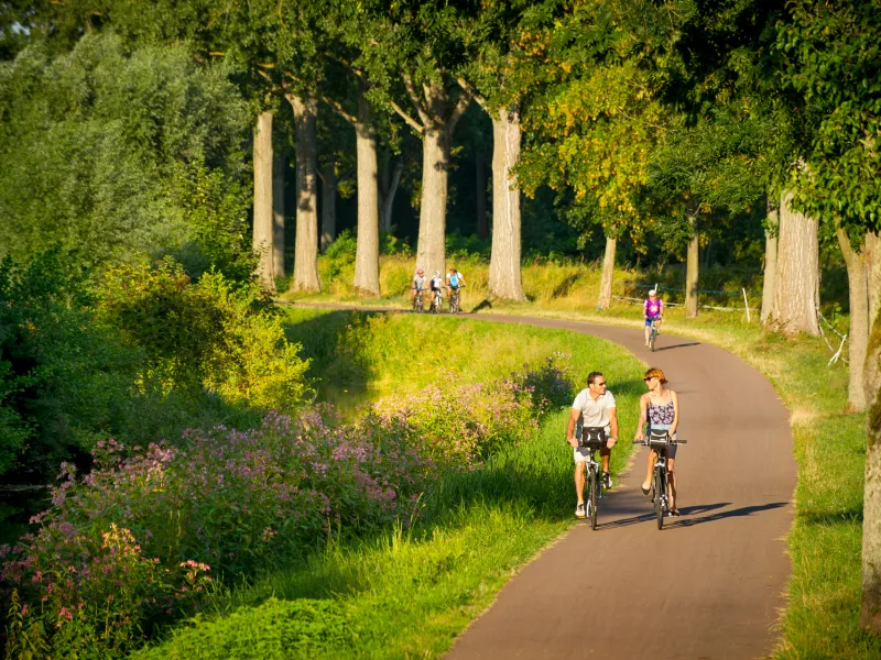 Véloroute du vignoble en Alsace