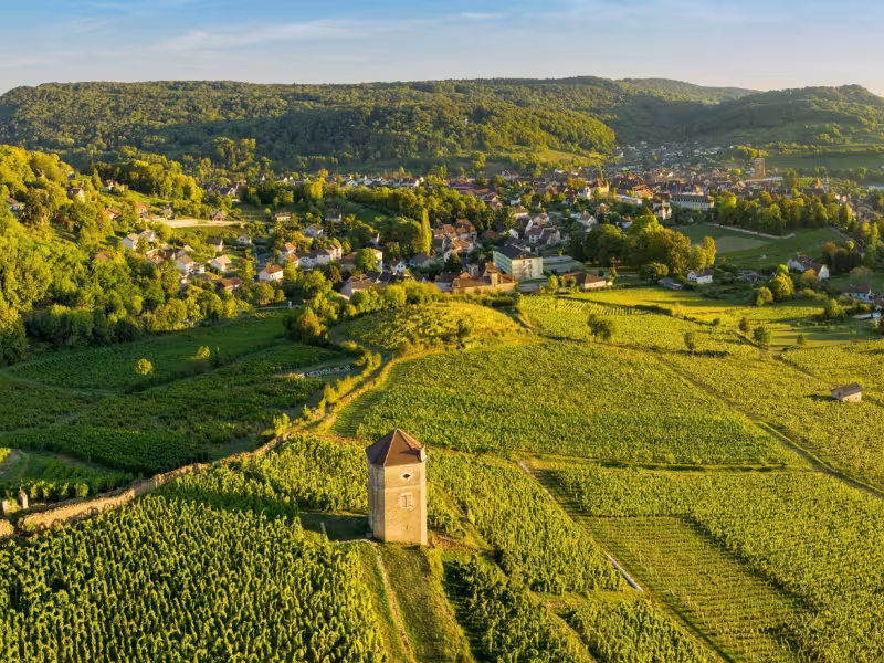 Vigne et ville d'Arbois, vue drone de la Tour Curon