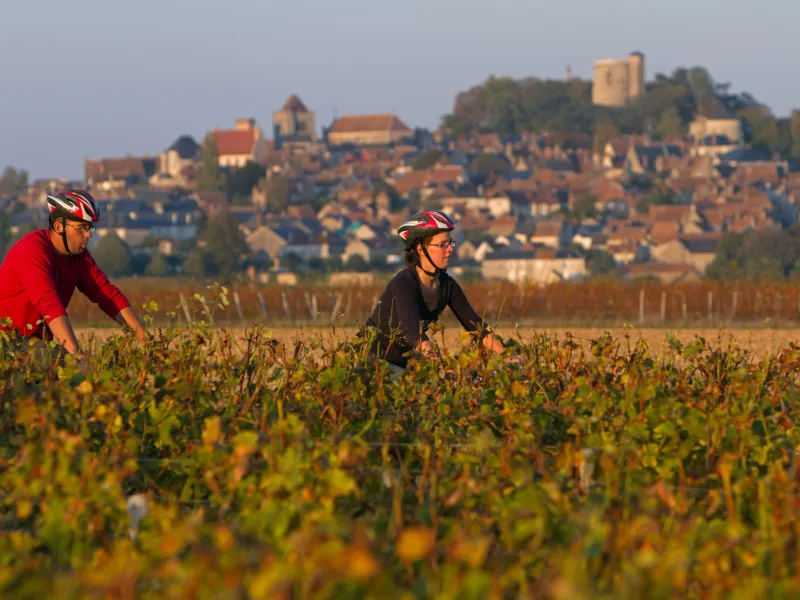 Découverte du vignoble à Sancerre à vélo