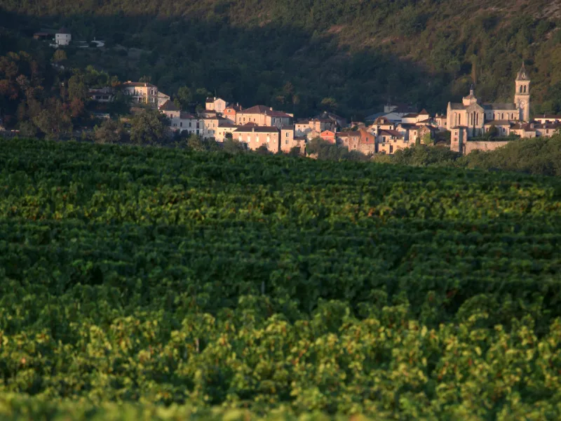 Vignobles vers Albas - Vallée du Lot à vélo