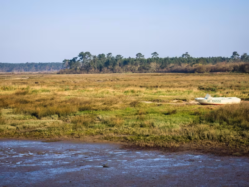 Viste des prés salés d'Arès