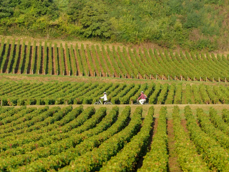 À vélo sur la voie verte au cœur des vignes - Bourgogne du Sud