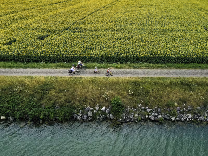 La Voie Bleue entre les champs de Tournesol et la Saône