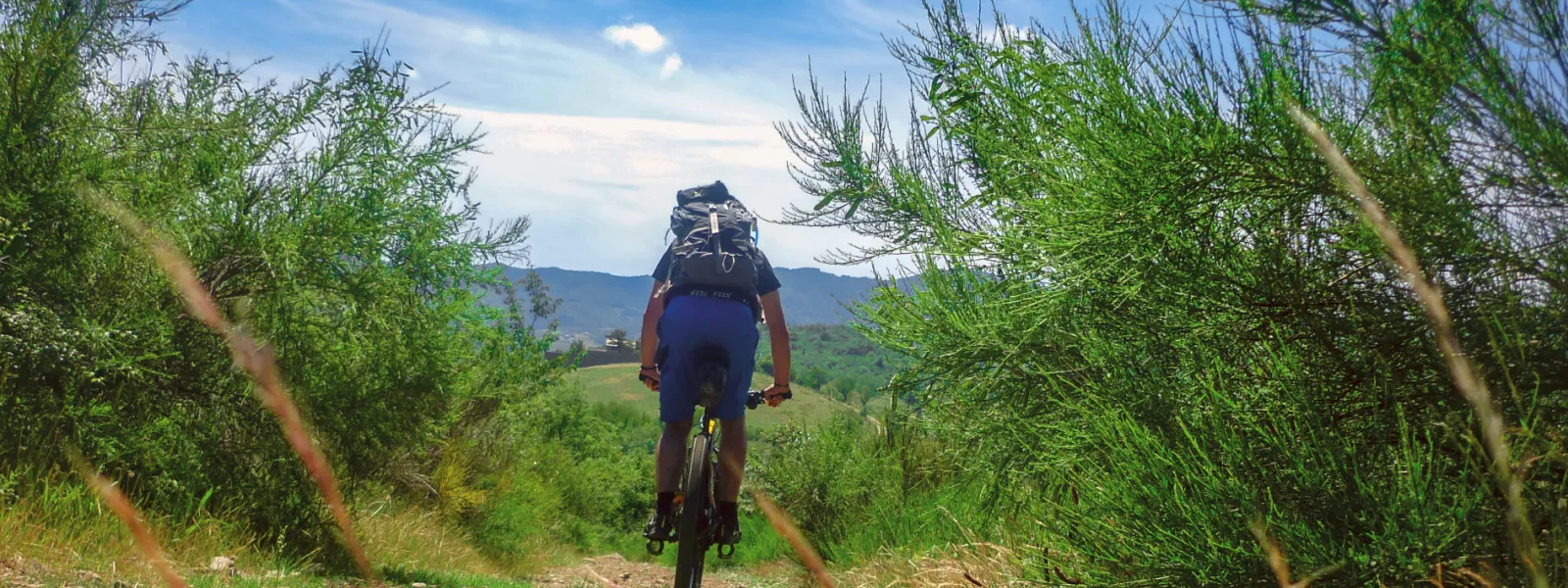 Dans les landes du Beaujolais