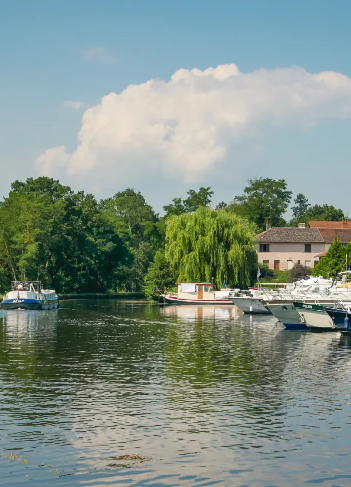 Bateaux sur la Loire à Briennon