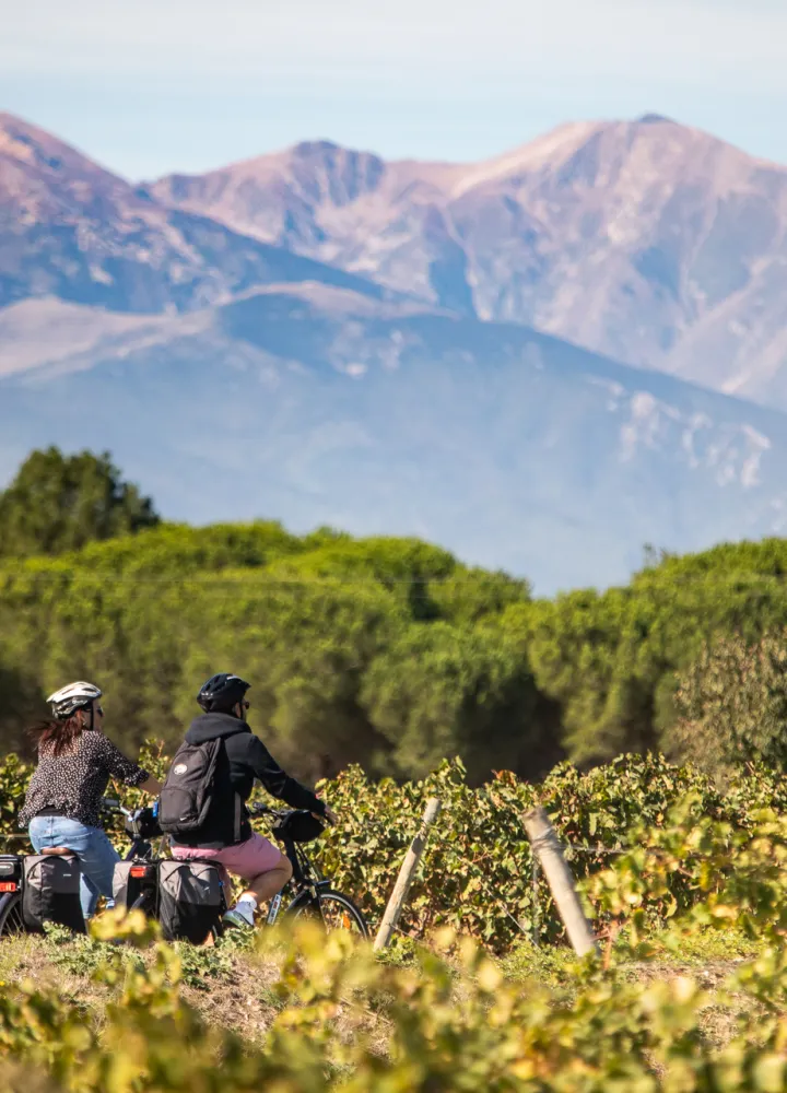 Les Pyrénées en arrière plan