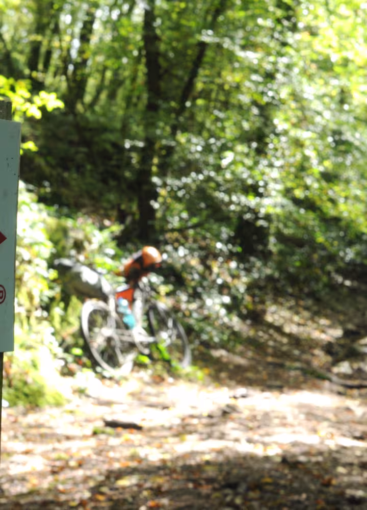 Balisage de la Grande Traversée du Morvan à VTT
