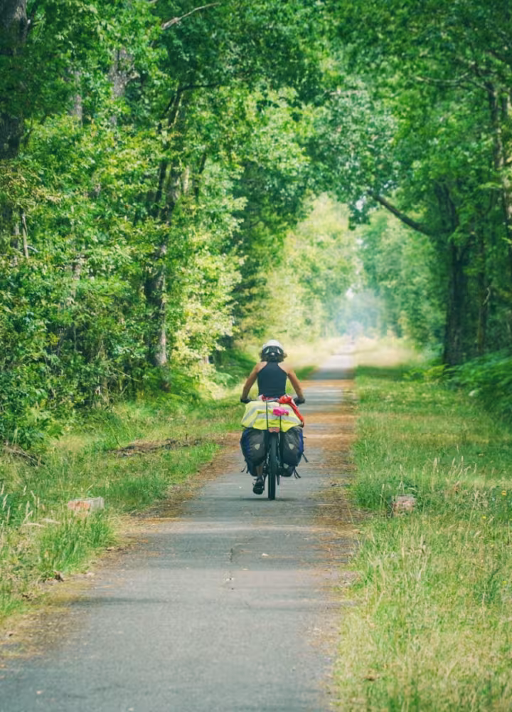 Voyage à vélo en pleine forêt
