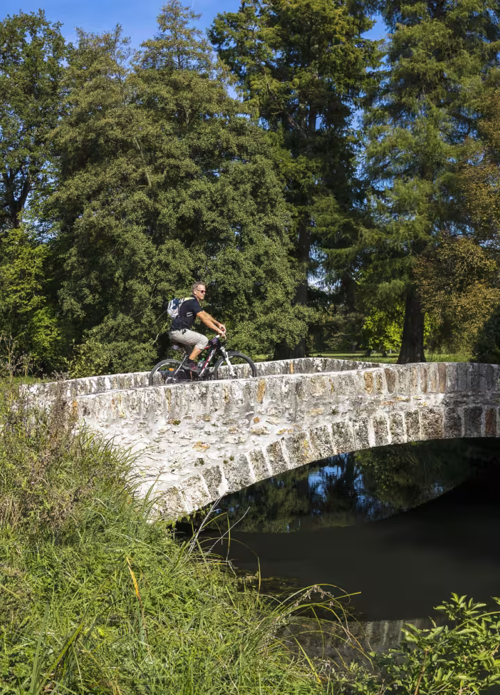 Traversée d'un vieux pont à vélo dans la forêt de Rambouillet