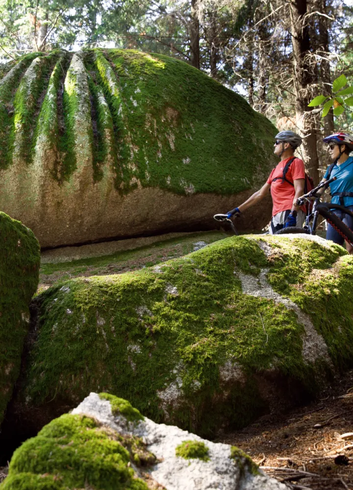 Les rochers du Carnaval dans la forêt d'Uchon