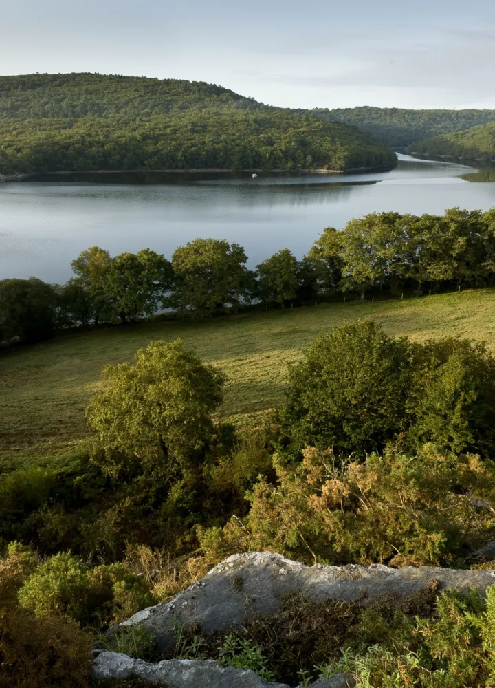 Lac de Guerlédan