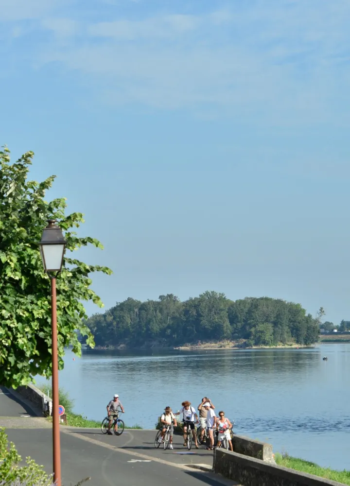 Le village du Thoureil 