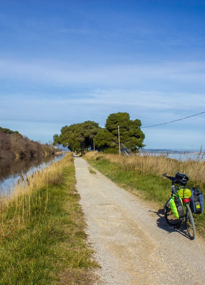 Petite route à vélo aux abords de Narbonne