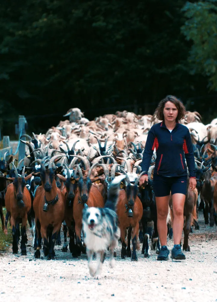 La Route des Fromages à Vélo par Claire Perrinel