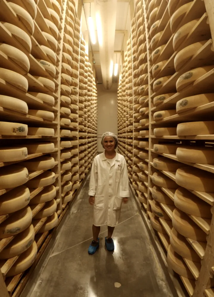 Route des fromages à Vélo - Fruitière de Plasne