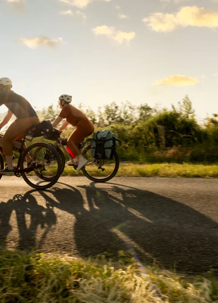 Cycliste route couché de soleil automne